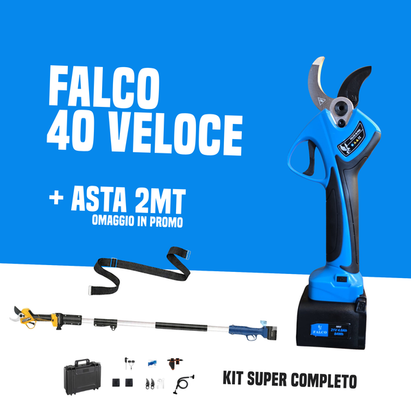 FALCO 40 VELOCE + ASTA OMAGGIO | PROMO EDITION