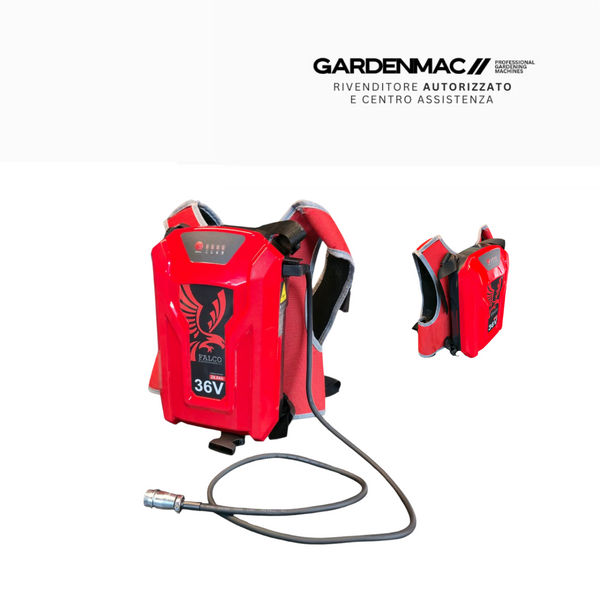 Batteria a zaino per abbacchiatore Falco EVO 42