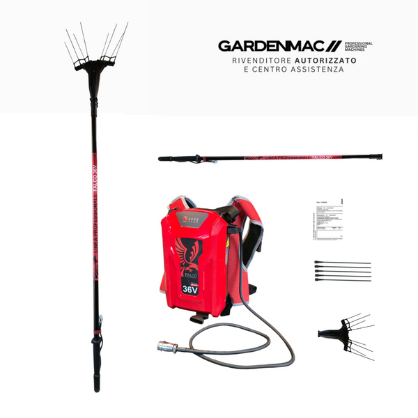 Kit abbacchiatore elettronico Falco 36V