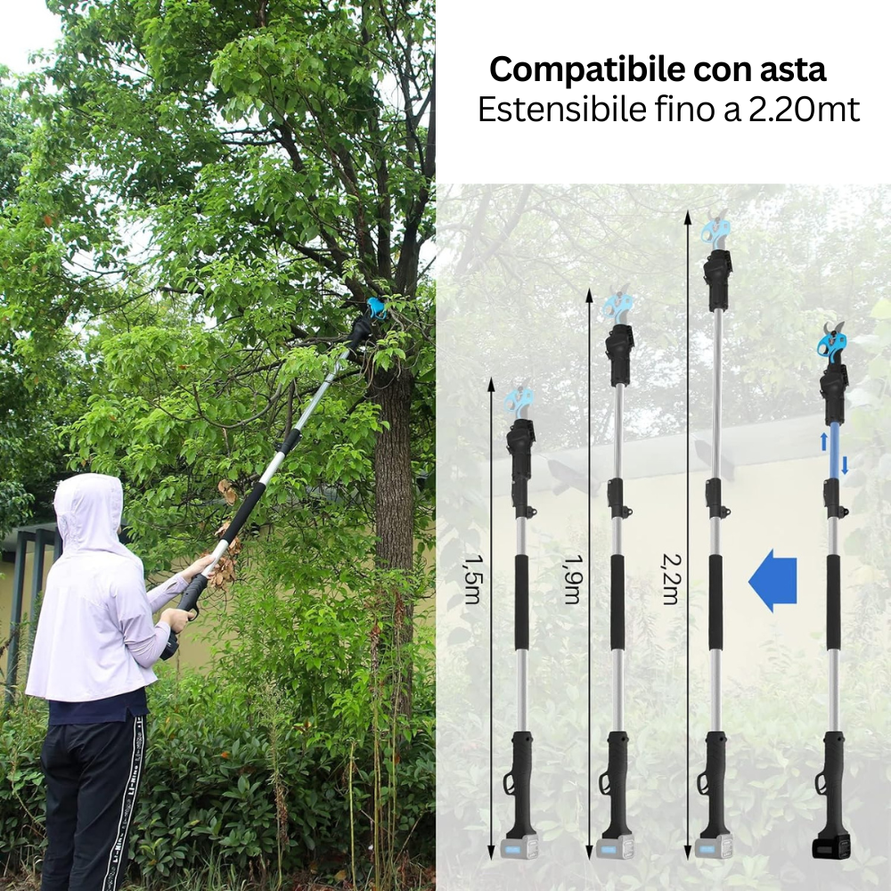 Ornamentali - Walking-Sticks