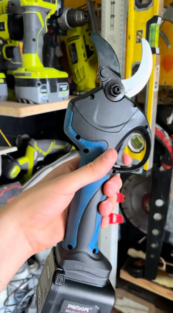 Foto inviata da Luigi L. con la sua recensione: forbici Swansoft 8605 Pro