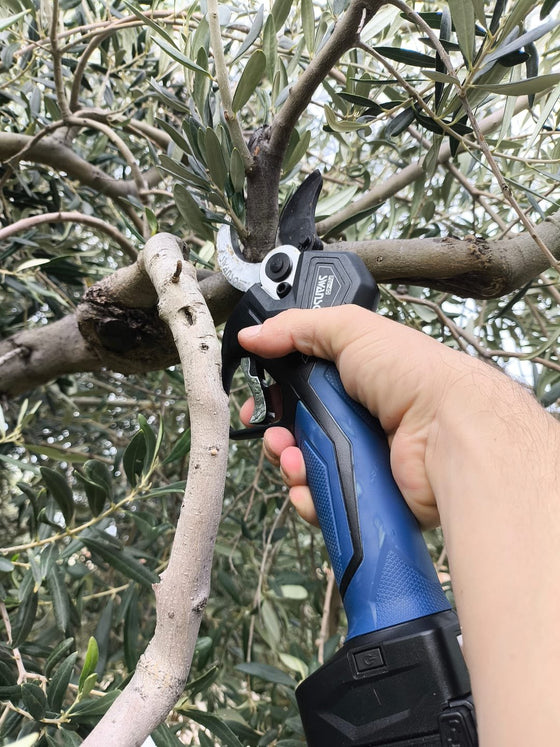 Foto inviata da Alessio L. con la sua recensione: forbici Swansoft PRU-40